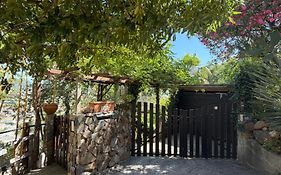 Studio Grotte des fées